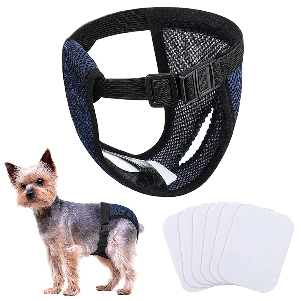Qpets Pet Use Breathable Reusable Female Dogs Diapers with 3 Absorbption Cotton Pad Comfort Reusable Doggy Diapers for Female Dog, Puppy(M, Recommended Waist 13.7''-16.9'') Qpets Pet Use Breathable Reusable Female Dogs Diapers with 3 Absorbption Cotton Pad Comfort Reusable Doggy Diapers for Female Dog, Puppy(M, Recommended Waist 13.7''-16.9'')